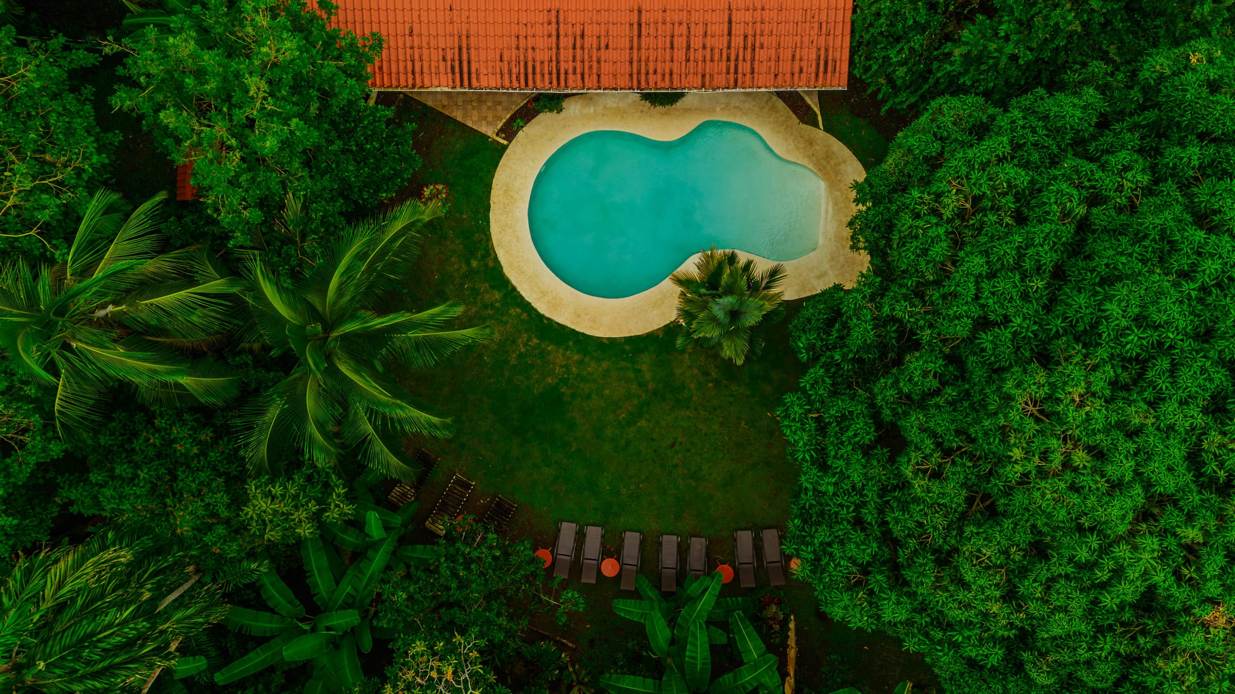 Aerial view of the figure-eight pool beside a red-tile roofed building, surrounded by palm trees, banana plants, and sun loungers