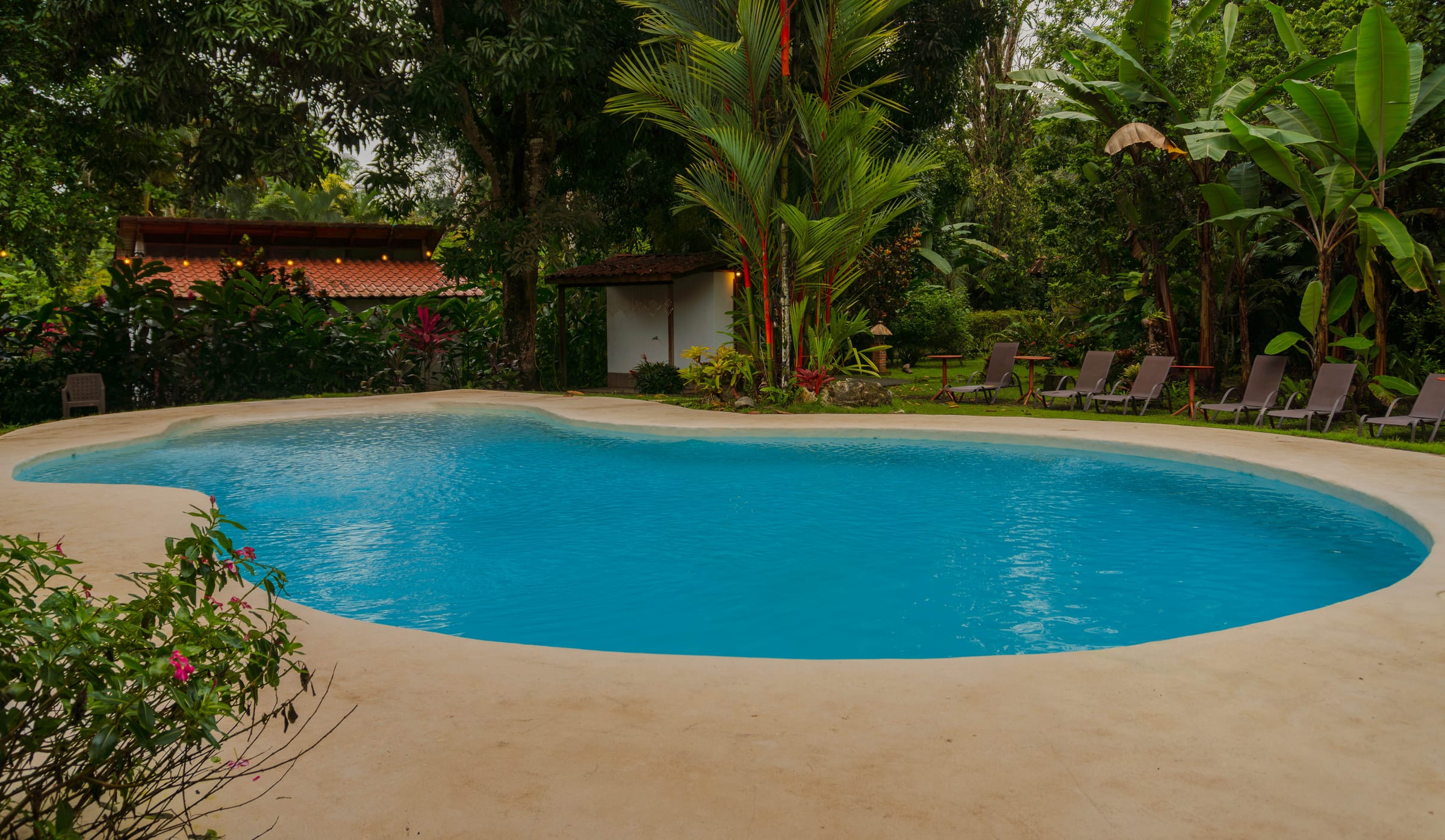 Kidney-shaped pool at dusk with sun loungers along the deck, string lights, and a thatched-roof cabana surrounded by palms