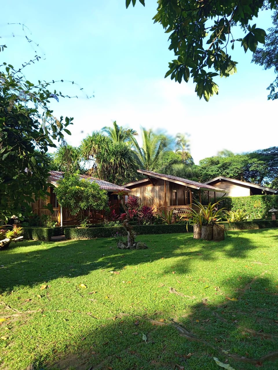 Wide view across a green lawn toward a cluster of wooden cabins nestled under palm trees