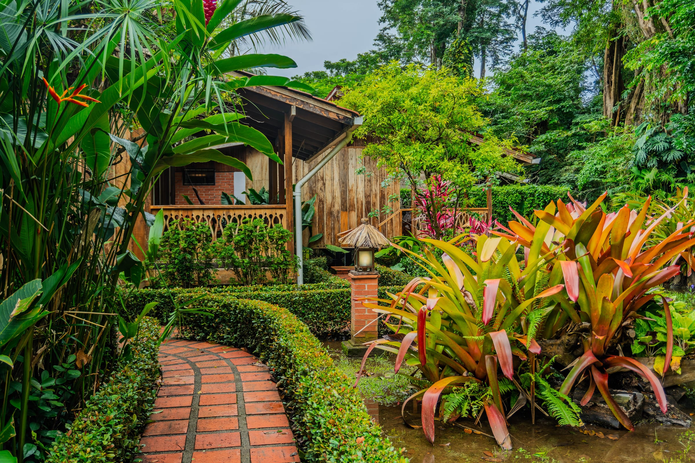 Brick garden path bordered by hedges and tropical plants leading to the Lado Mar room's wooden bungalow porch with a thatched lantern